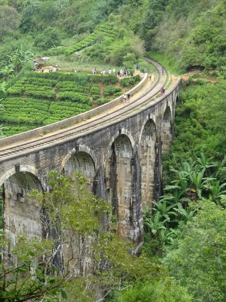Teeplantagen, imposante Tempel, Safari & Strandgenuss - so vielfältig ist Sri Lanka!